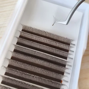 New Arrival Brown W Shaped 2D 3D 4D 5D W Natural Soft Automatic Flowering Premade Fans Eyelashes Extensions