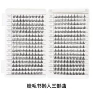 OEM DIY Cluster Lashes Book Individual Cluster Silk Hand Made Eyelash Extensions Fake Eyelashes Segmented Eyelash Extensions