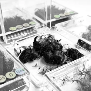 OEM ODM Loose Premade Volume Fans 0.05 0.07 C & D Curl Russian Volume Eyelash Extensions Private Label