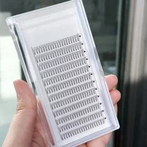 Premade 2D 3D 4D 5D 6D Fans Eyelashes Russian Volume Mink Lash Extensions