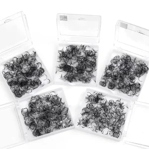 Premade 500 Loose Fans Long Stem Lash Extension 48 hour Shipping 0.05 0.07mm Points CC DD Curl 6D 5D 14D PBT Fiber