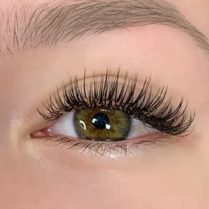 Premade 5D Classic Lash Extensions Custom Logo Wet Style 0.07mm Angel Lashes Tray Wet Set CC D Curl Korean Fiber Thick Classics