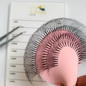 Price Private Volume Lashes Individual Eyelash Silk Eyelash Extensions