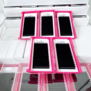 Private Label 16 Rows Eyelash Extensions Pointy Base Volume Lash Tray for Customized Professional Beauty Services