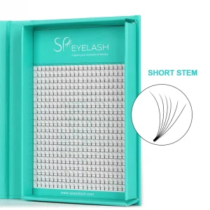 Private Label 2D 3D 4D 5D 6D 7D 8D 10D 12D Premade Lash Fans Russian Volume Eyelashes Extension Promade Fan