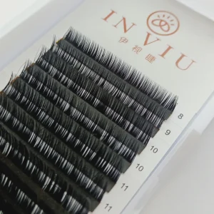 Private Label Classic Volume Eyelash Extensions 0.07mm Individual Lashes Lash Extensions Suppliers