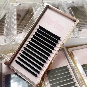 Private Label Individual Eyelash Extensions Easy Fan Matte Black Lash Extension Trays Cashmere Volume Lashes Extension