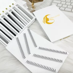 Private Label Korean PBT C CC D DD Curl 0.05 0.07 0.10mm Premade Lash Fans 5D 6D 8D 10D 12D 20D Promade Lash Extension Fans