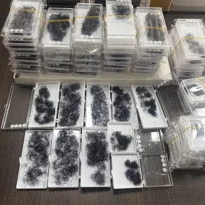 Private Label Loose Promade Fans 3d 20d 0.05 0.07 Lash Premade Fan Short Long Stem Premade Volume Lash Loose 1000 Fans