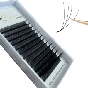 Private Label Professional PBT Korean 3D 4D 5D W Shaped Lashes Wispy for Crisscross Volume Eyelash Extension