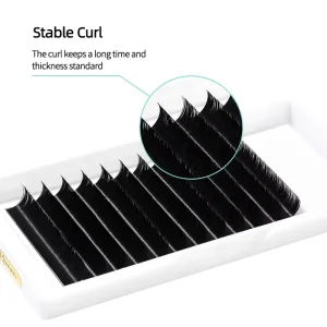 Private Volume 12 mm Individual Eyelash Extensions Lash Extension Supplies Lash Extension Trays