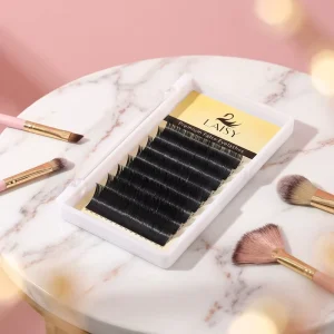 Pro Premade Fans Lash Extensions Eyelash Extension Supplies for Professional Lash Tech Salon Long Lasting