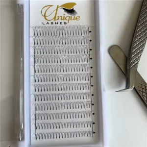 Professional Eyelashes Ultra Dark Black Premade Fans 3D 0.07 0.10 Private Label Eyelash Extensions