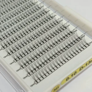 Professional Lash Manufacturer 3D 0.07 0.10 Heat Bonded Premade Volume Fans Private Label Eyelash Extensions C D Curl