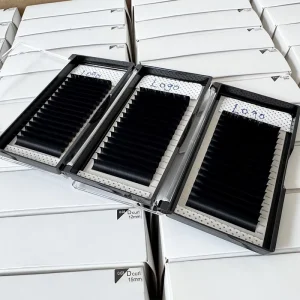 Professional Use Only High Density Mega Volume Lashes Deep Black Silk Lashes for Professional Eyelash Salon Experts