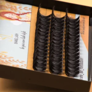 SHANEL Eyelash 100D 3d Effect Fluffy Cluster Lashes 8 16mm Silk 20d 30d 50d 80d 100d Heat Bonded Premade Volume Fan Lash Cluster