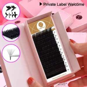 Supplier Private Custom Label Eyelash Tray Classic Matte Black Eyelash Extension