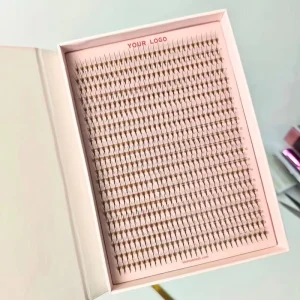 TZ Premade Fans Lashes Extension C CC D DD 0.05mm 0.07mm Short Long Stem Individual Eyelashes Premade Volume Fans
