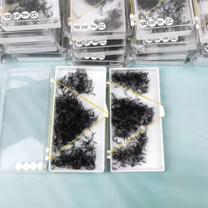 Top Quality Customized Handmade 3D 5D 10D Promade Fan D C Curl Pointy Base Lashes 4D 6D 8D 1000 Fans Loose Pre Made Volume Fans