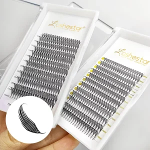 Two Types Anime Lash Map Premade Fan Lashes C Curl Eyelash Extension Tray