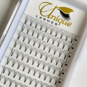 Ultra Dark Black Handmade Korean PBT C CC D DD for Premade 6D Private Label Eyelash Extensions Premade Fans