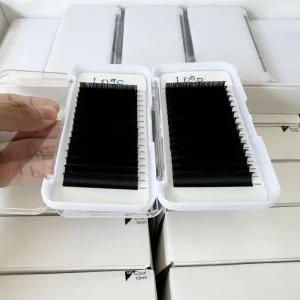 Vegan Friendly Neat Root Individual Lash Extensions Matte Black Lashes for Professional Lash Training Centers Pro