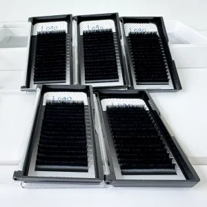 Verified Supplier Lash Tray Korean PBT Fiber Individual Lash Extensions for Professional Makeup Services