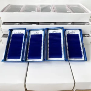 Volume Eyelash Extensions Pointy Base Lash Tray for Customized Professional Beauty Supply Pros