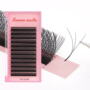 Volume Eyelash W V YY Shape Extension False Eyelashes 3D 4D 5D 6D W Lashes Private Label Mink Individual Eyelashes Extensions