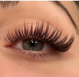 Volume Lash Extension Supplies CC D DD M L LD LC Curl Private Label Faux Mink Lashes Individual Eyelash Extensions