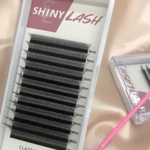 W Shaped Eyelash Extension 5D effort Clover Individual Lashes Extensions Supplies Customize Lash Extensions
